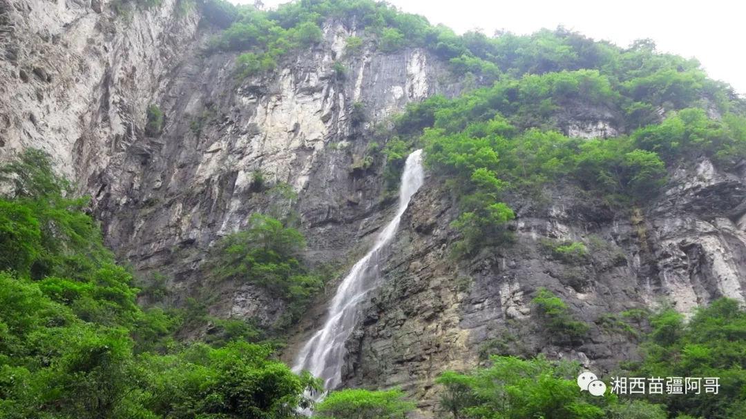 萌兔兔闯关